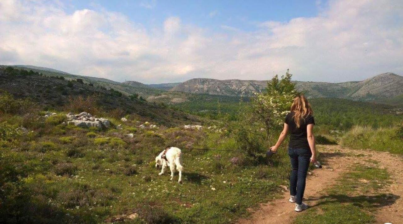 Les Mas D'Azur Appartement Vence Εξωτερικό φωτογραφία